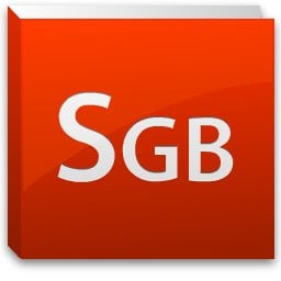 SGB Media Group