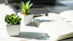 Connected Learning Alliance