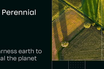 Perennial Thumbnail